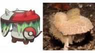 Spider web-like Syzygite, the inspiration for Brute Bonnet (Image via The Pokemon Company)